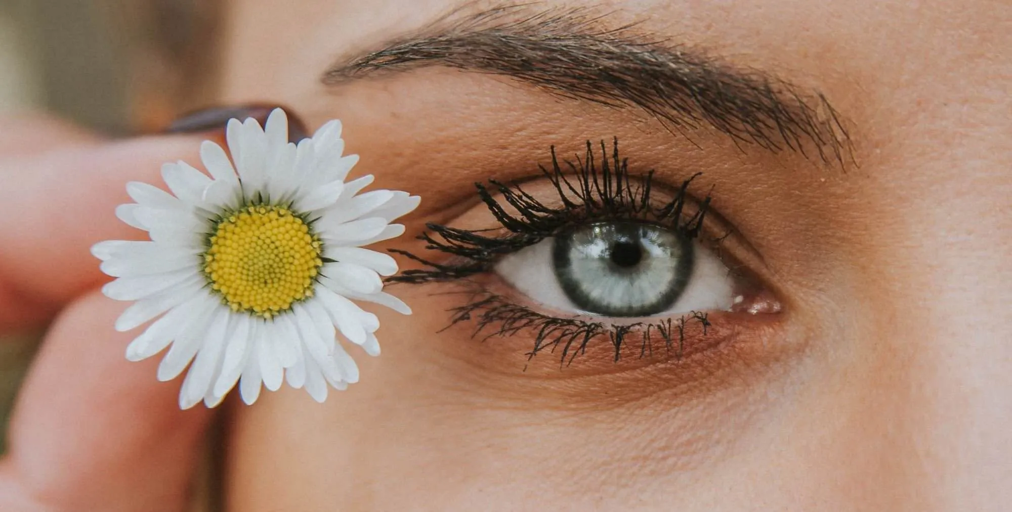 The Swiss solution for your beauty salon